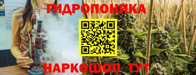 соль ск Можга