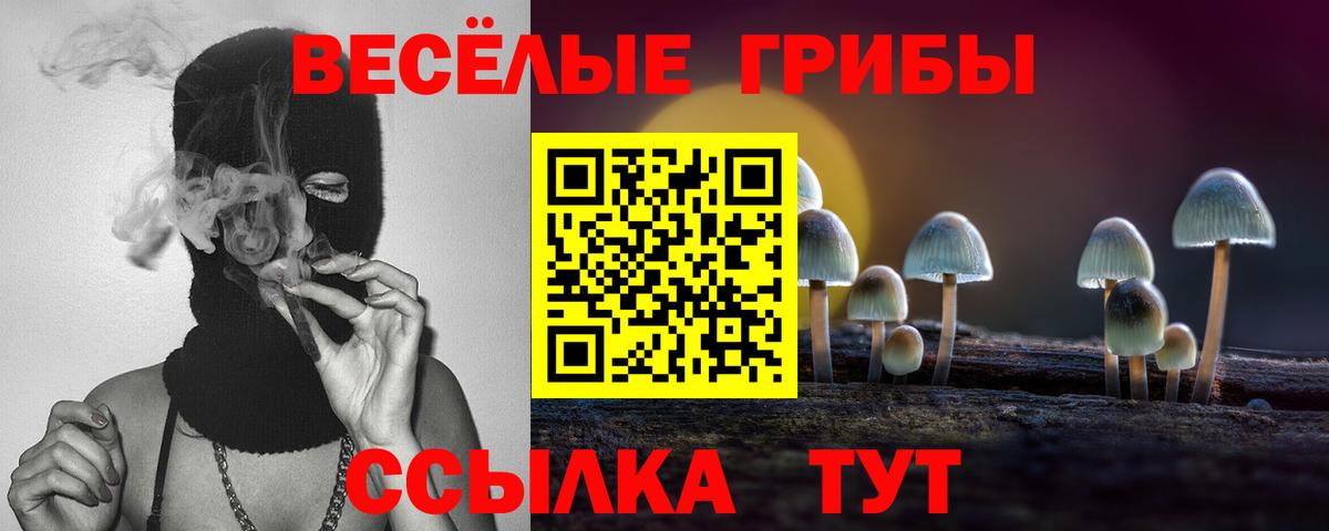 Псилоцибиновые грибы Cubensis Химки