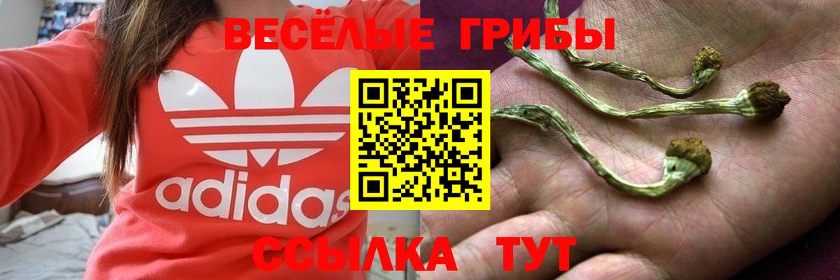 Химки  Псилоцибиновые грибы прущие грибы  Вход с VPN  Галлюциногенные грибы MAGIC MUSHROOMS 